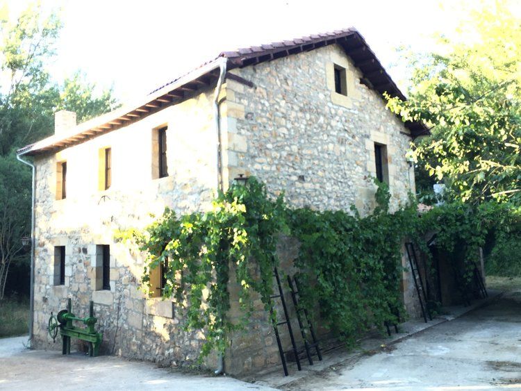 Gallery_manolo31