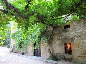 Gallery_manolo38